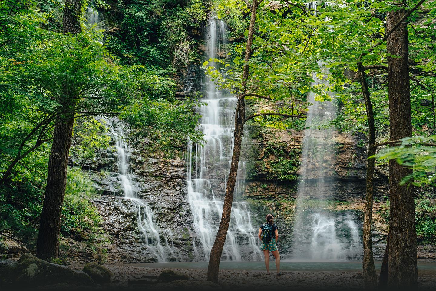 Waterfall cascading through a lush green forest.