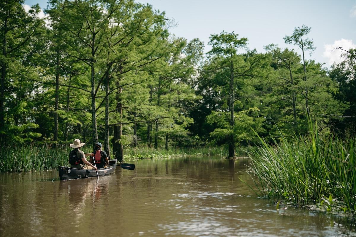 Canoe with two people in a lush, green forested river.