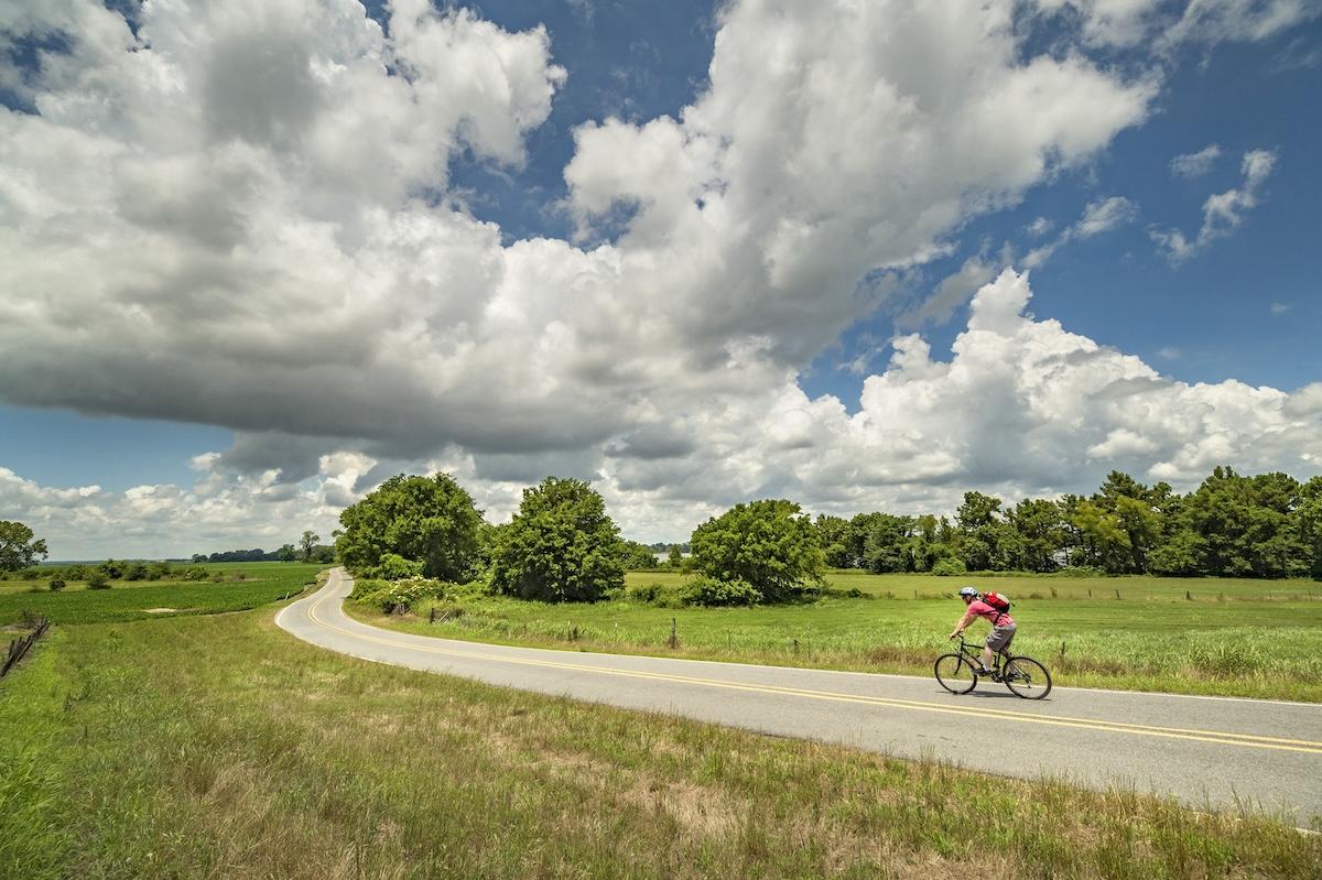 Bicyclist on a country road under a blue sky with fluffy clouds.