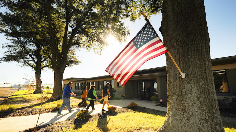 American flag hanging from a tree, people walking towards a building.