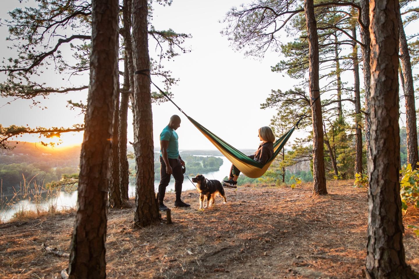 Man and woman with dog in pine forest at sunset.