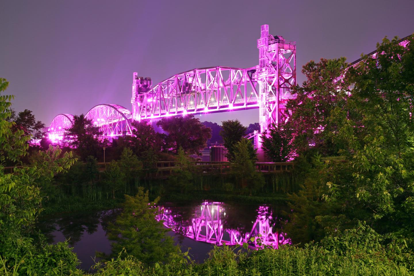 Lit bridge glowing in pink over water, surrounded by trees at night.