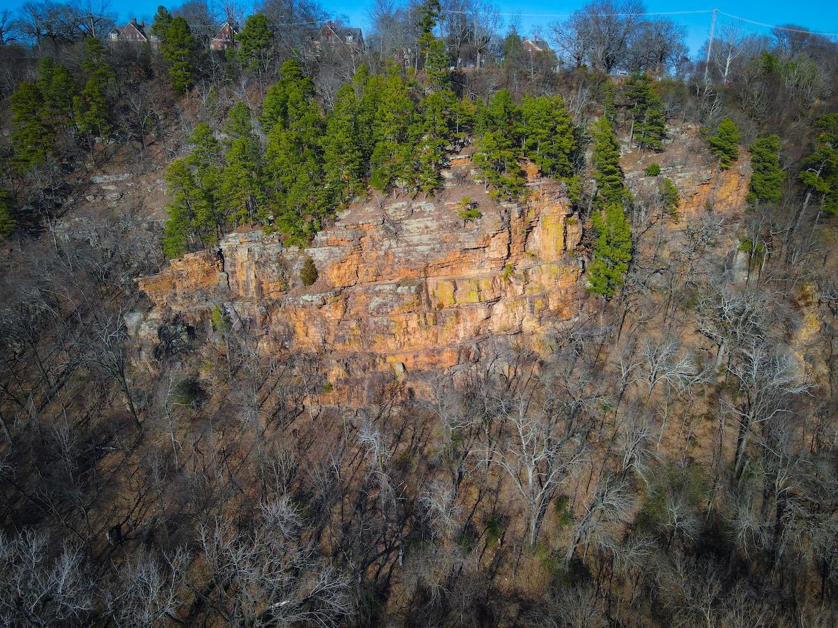 Cliff with evergreen trees under a clear blue sky.