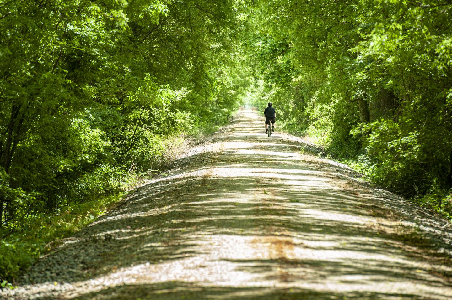 Dirt path through lush green forest with a lone cyclist in the distance.