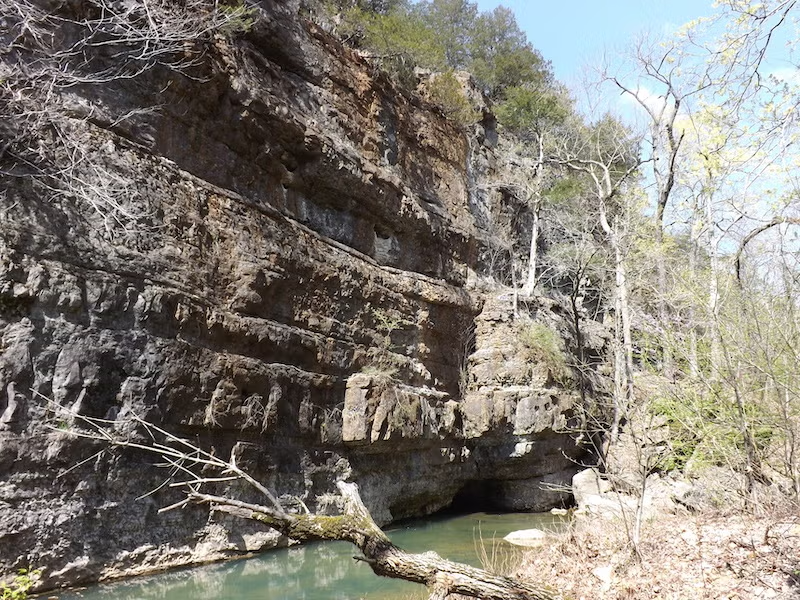 Rocky cliff with a cave entrance and trees, under a clear sky.