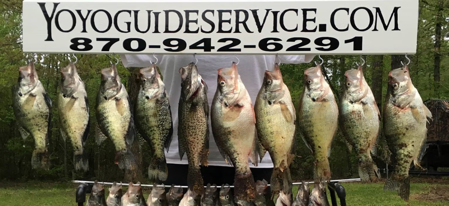 Fish hanging on a line outdoors with a service sign above them.