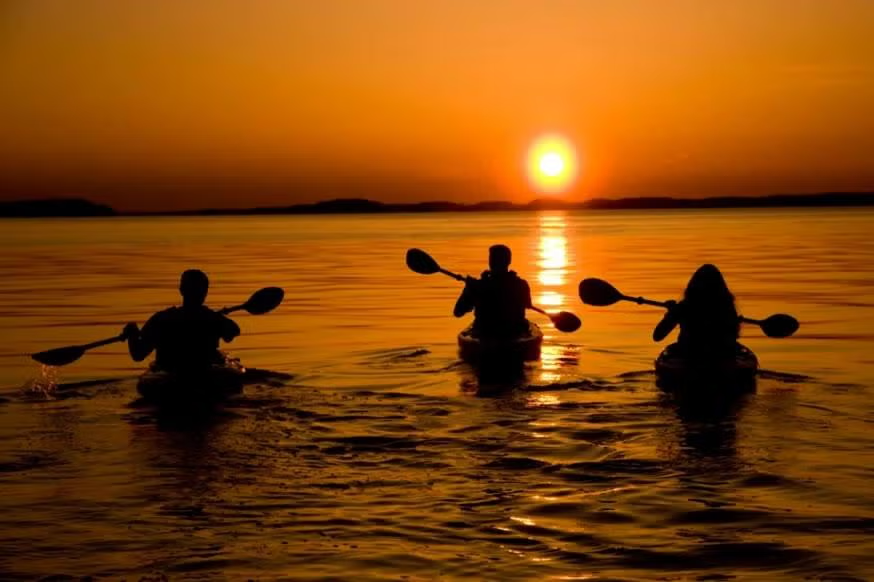 Three kayakers on a lake during a sunset.
