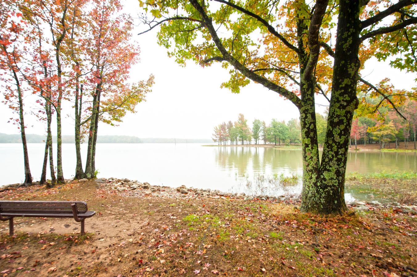 Autumn lake scene with colorful trees and an empty bench.