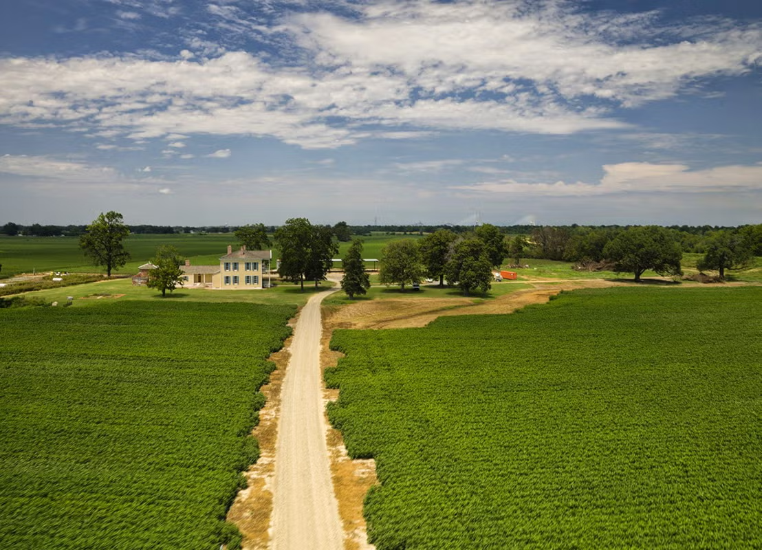 Rural farm landscape with a long dirt road and a farmhouse under a blue sky.