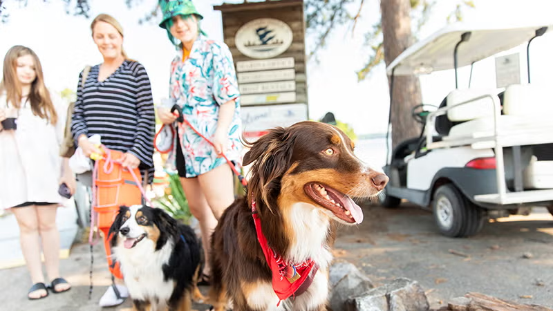 Group with two dogs outside near a golf cart.