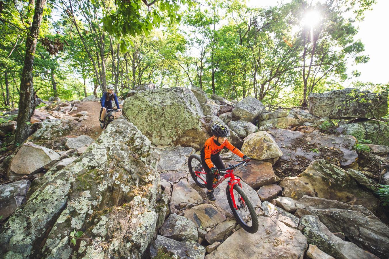 Two cyclists navigate a rocky trail through a sunlit forest.