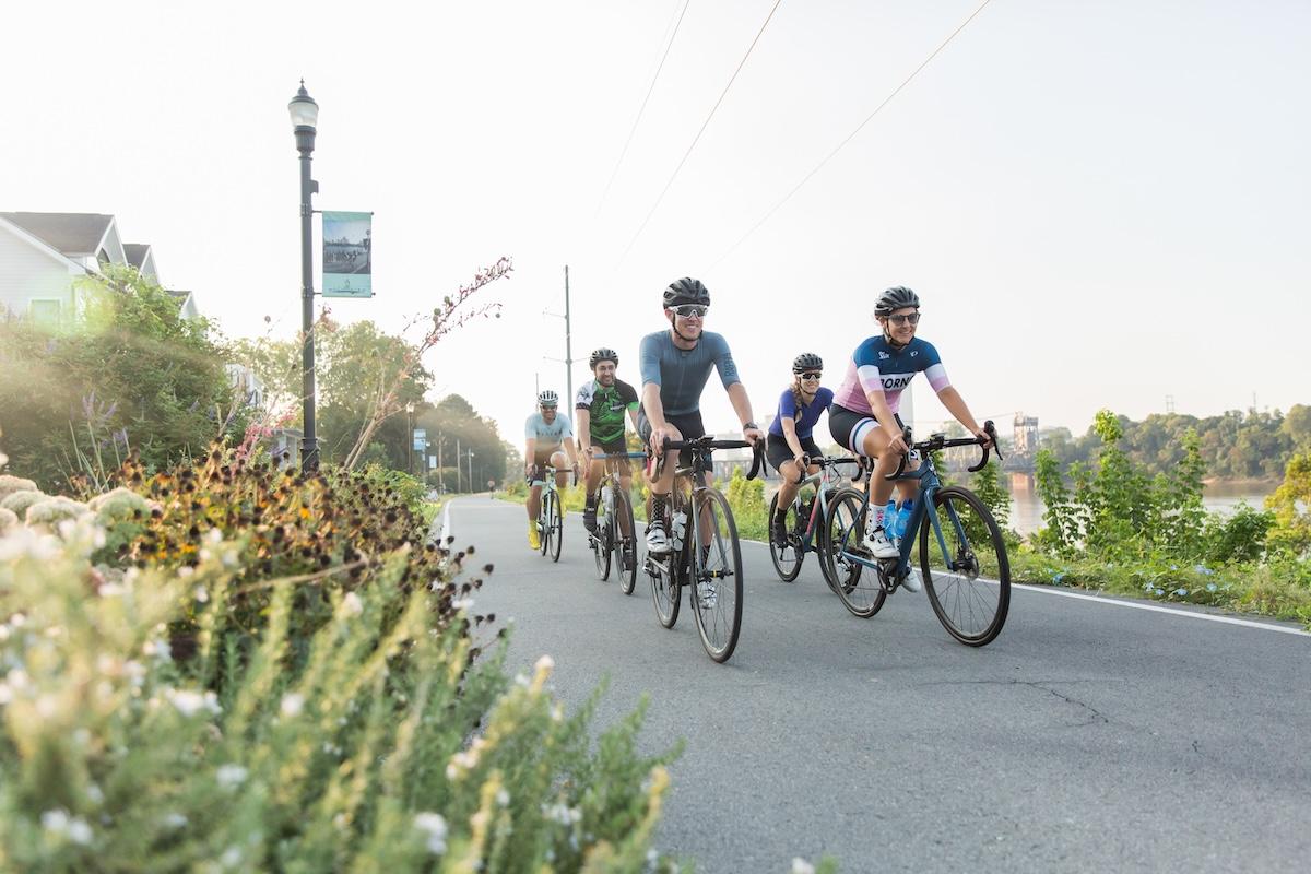 Cyclists riding on a sunny road lined with greenery.