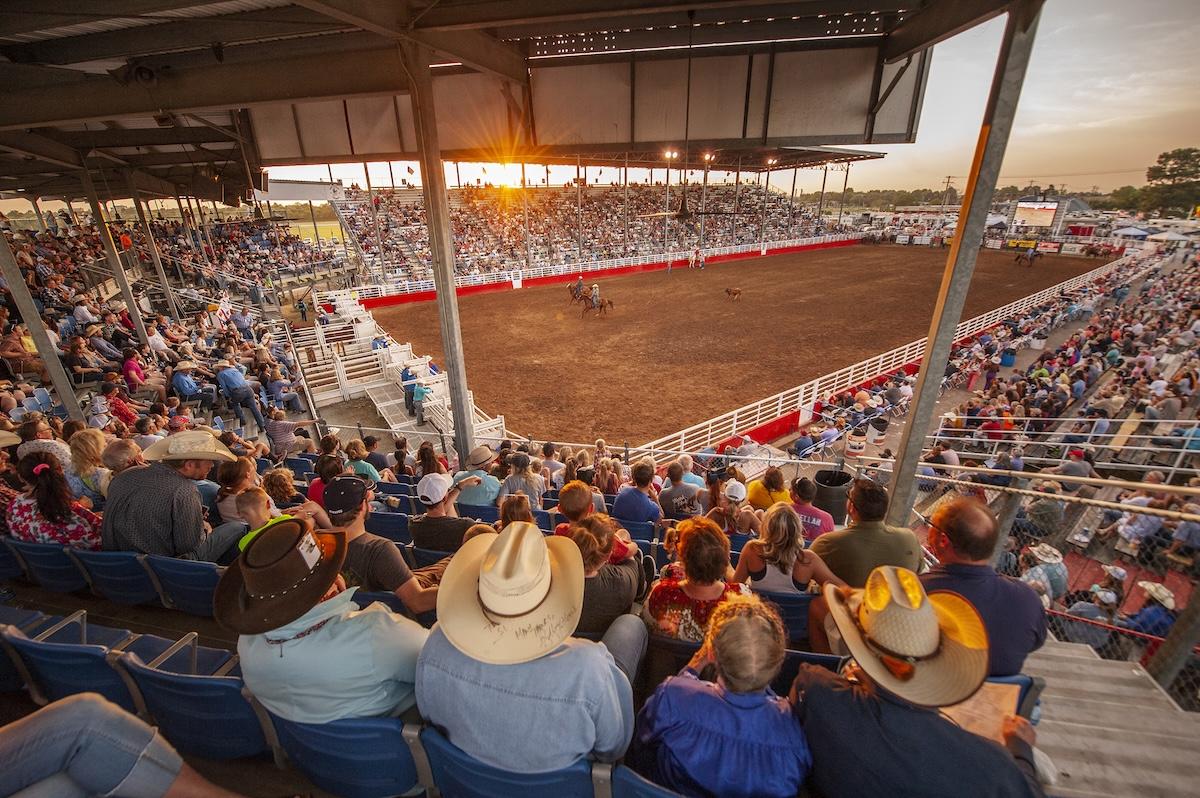 Crowded rodeo arena at sunset, audience in hats watching the show.
