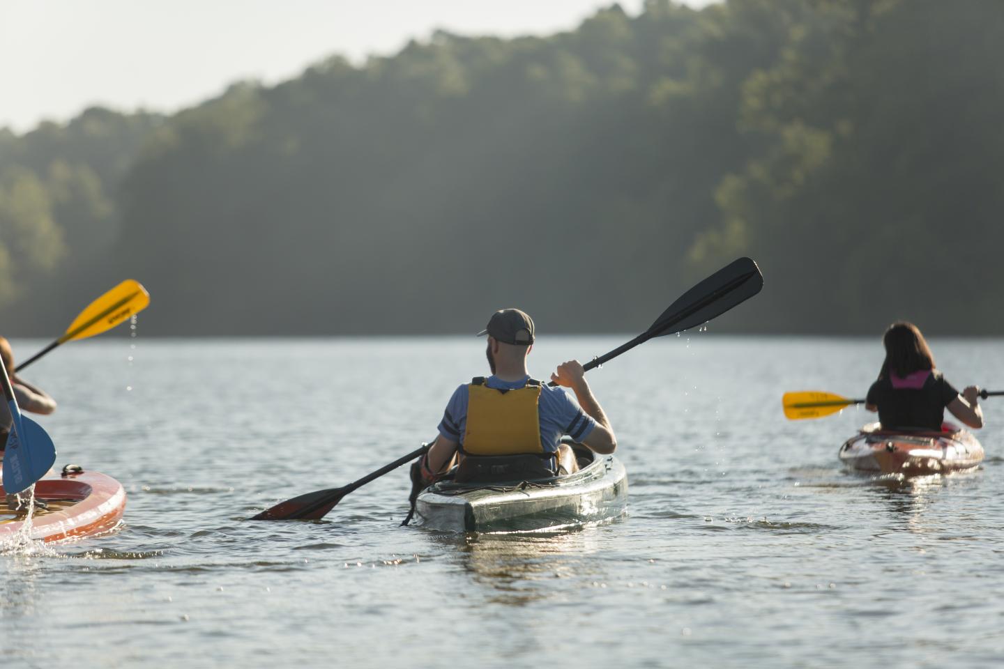 Kayakers paddle on a calm lake surrounded by trees.