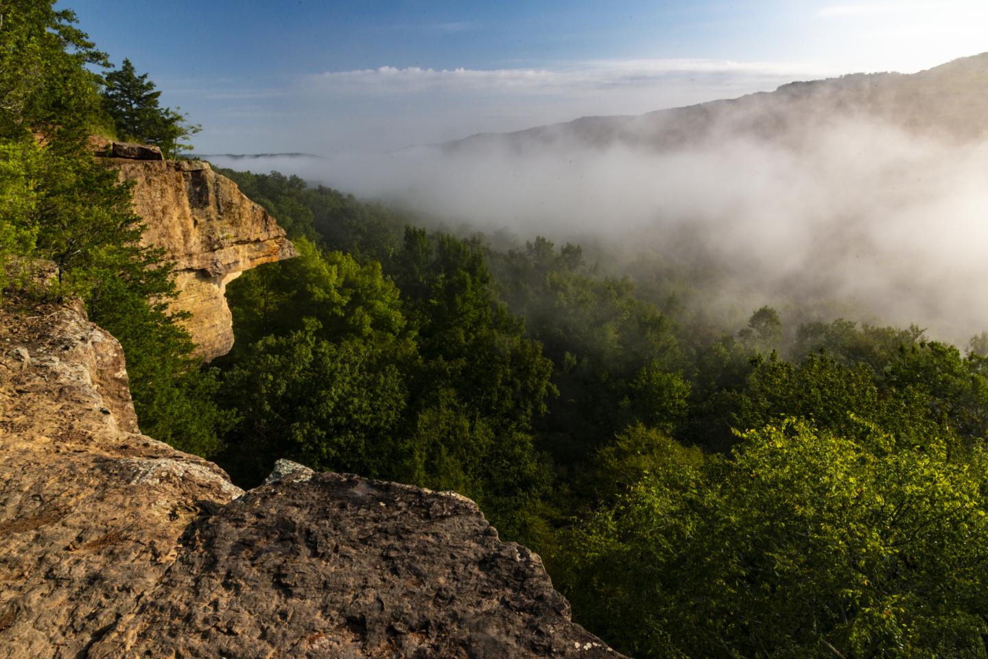 Foggy forest valley with a rocky cliff and lush green trees in the morning light.