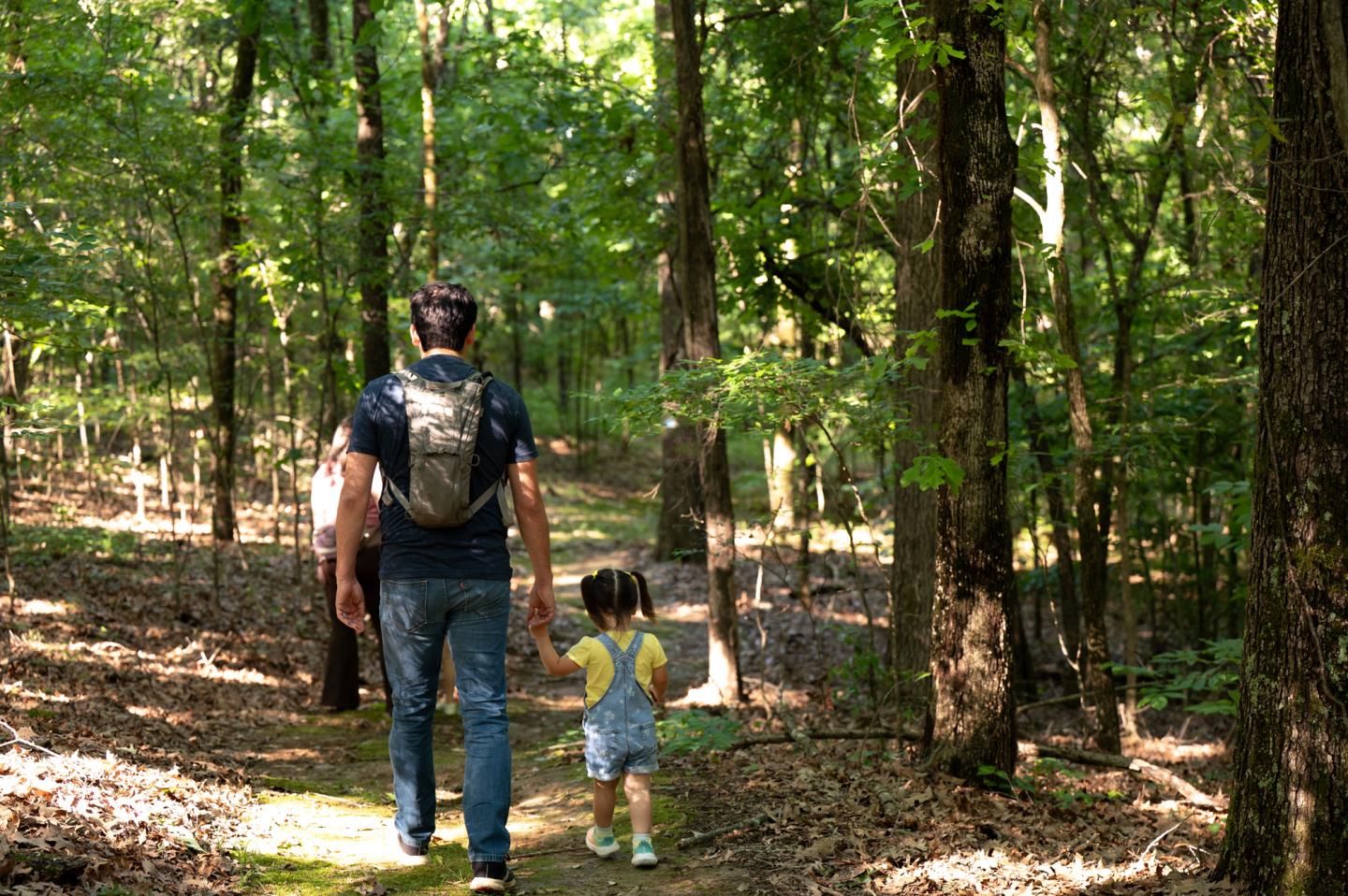 Man and child walking through a forest path in sunlight.
