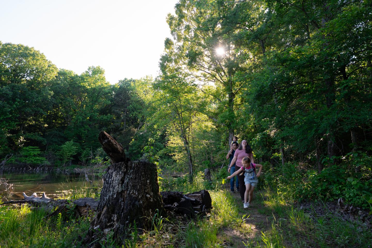Family walking on a forest path, sunlight filtering through trees.
