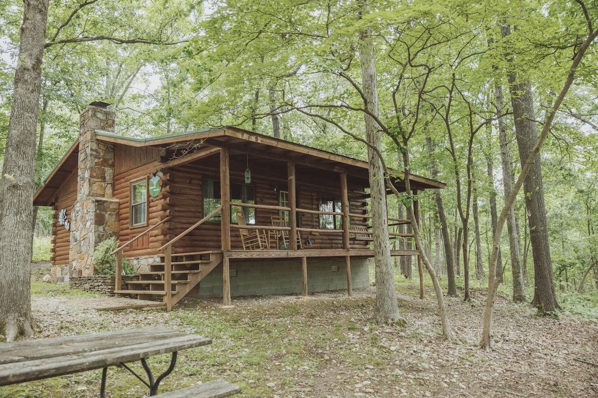 Rustic log cabin surrounded by green trees in a forest setting.