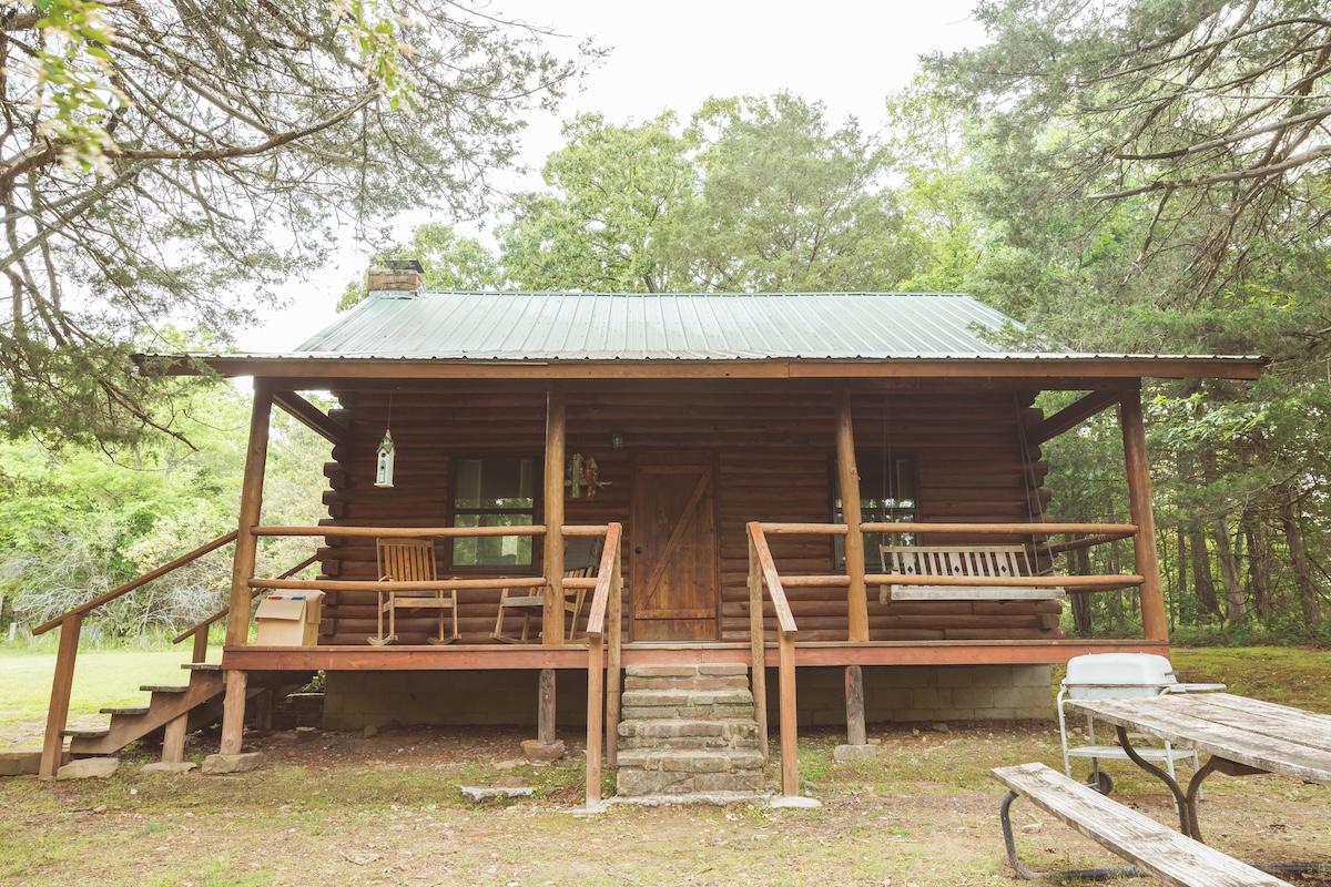 Rustic cabin with green roof in a forest setting.