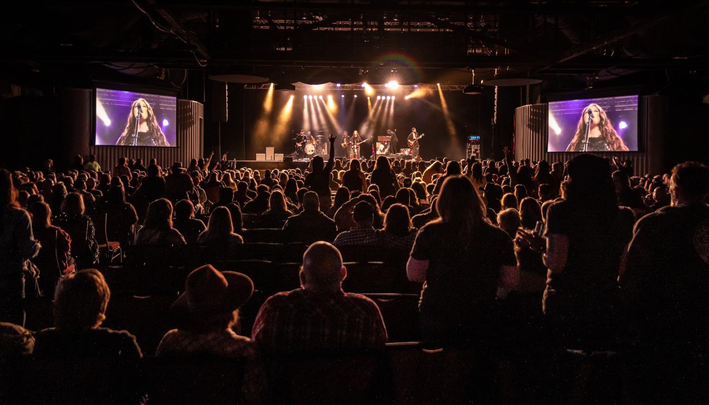 Concert audience watching a band perform on stage with vibrant lighting.