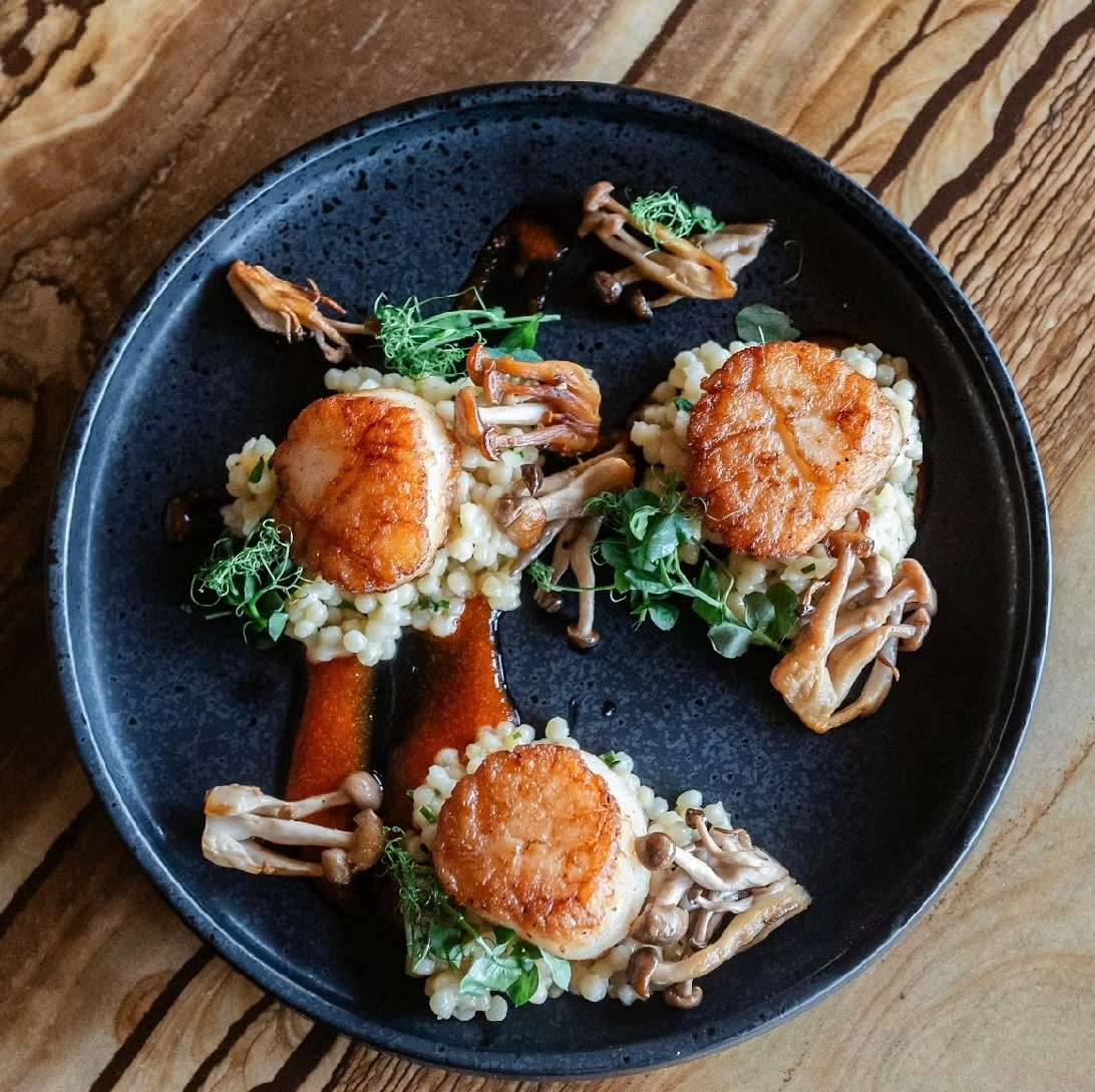 Seared scallops on risotto with mushrooms and greens on a dark plate.