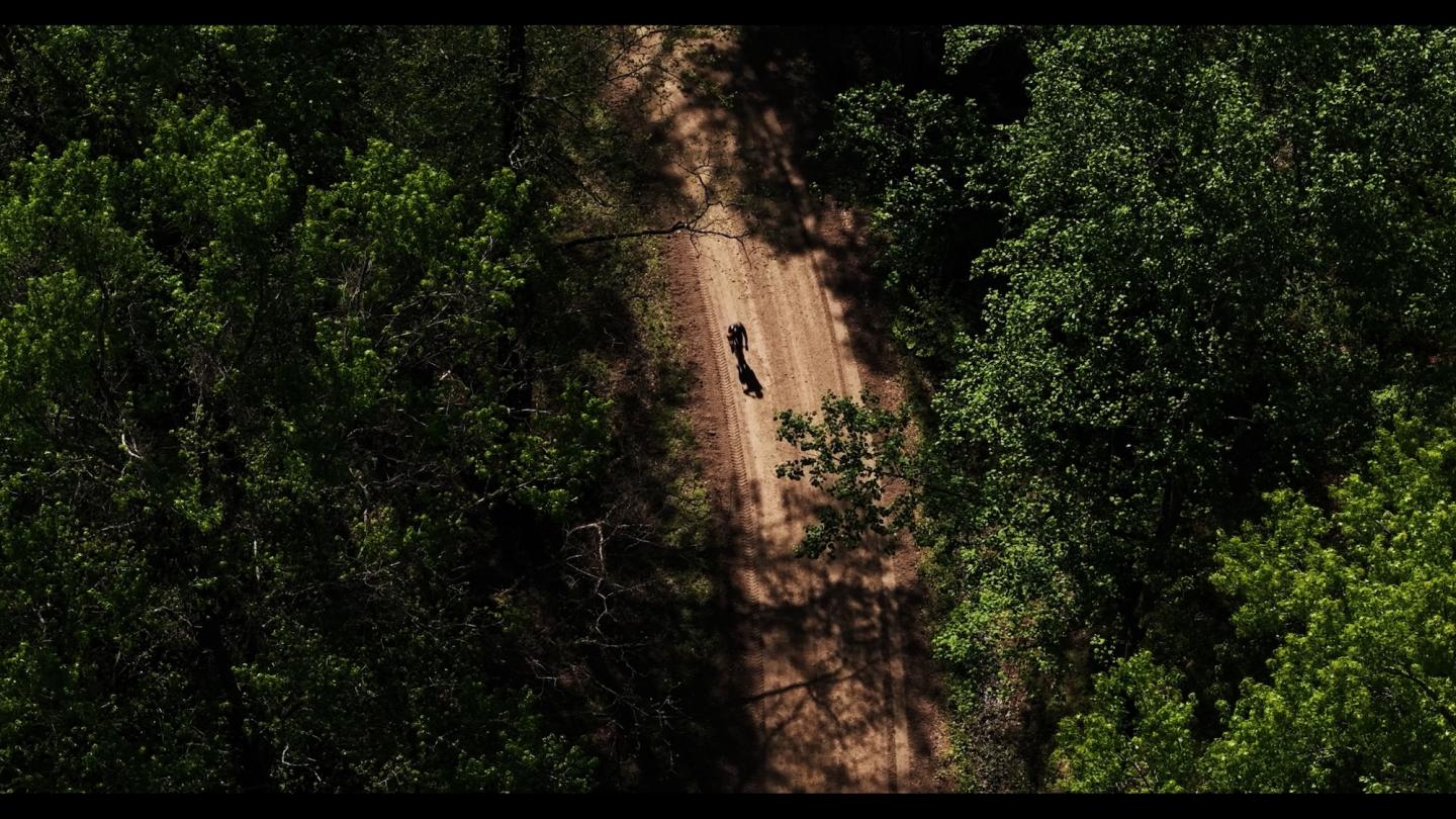 Dirt path in a forest, solitary person walking, surrounded by dense green trees.