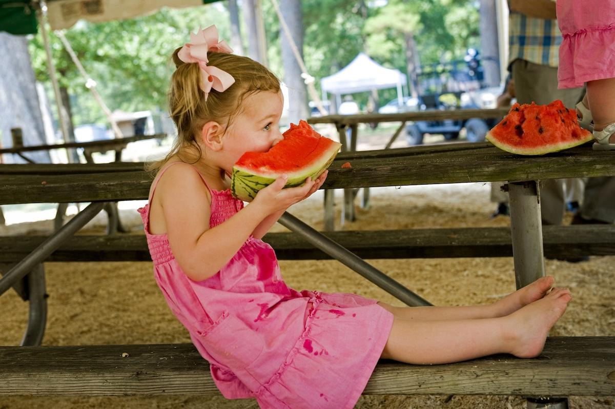 Child in pink dress eating watermelon on a picnic table.