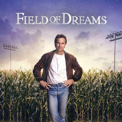 Man in a jacket stands in a cornfield under a twilight sky with stadium lights.