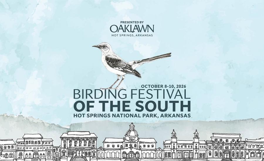 Festival poster with bird illustration, skyline sketch, and soft blue background.