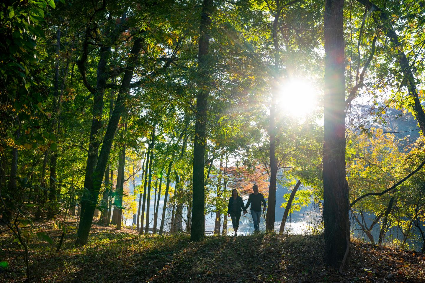 Couple holding hands in a sunlit forest clearing.