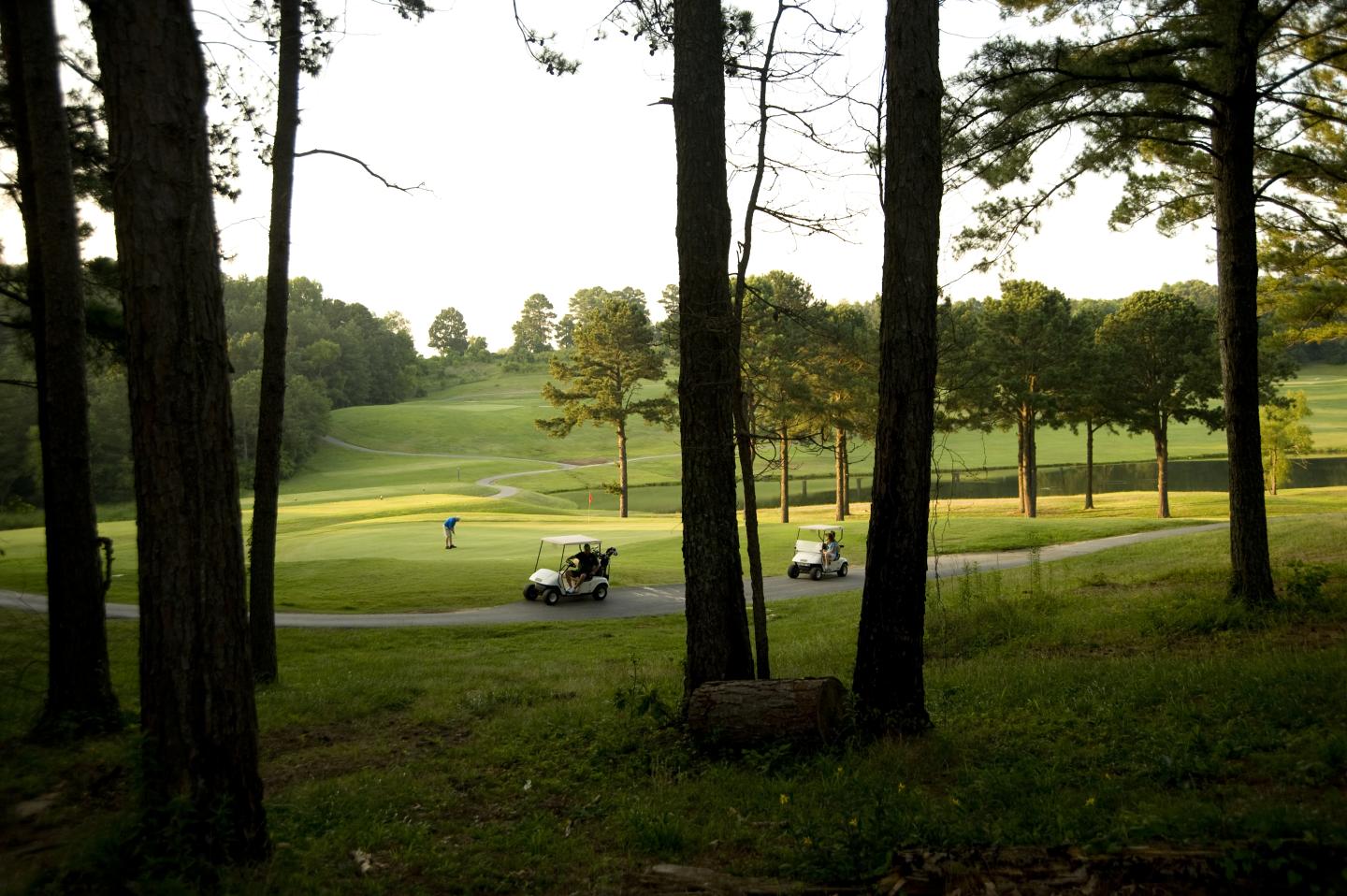 Golf course with trees, two golf carts, and a distant player on the green.