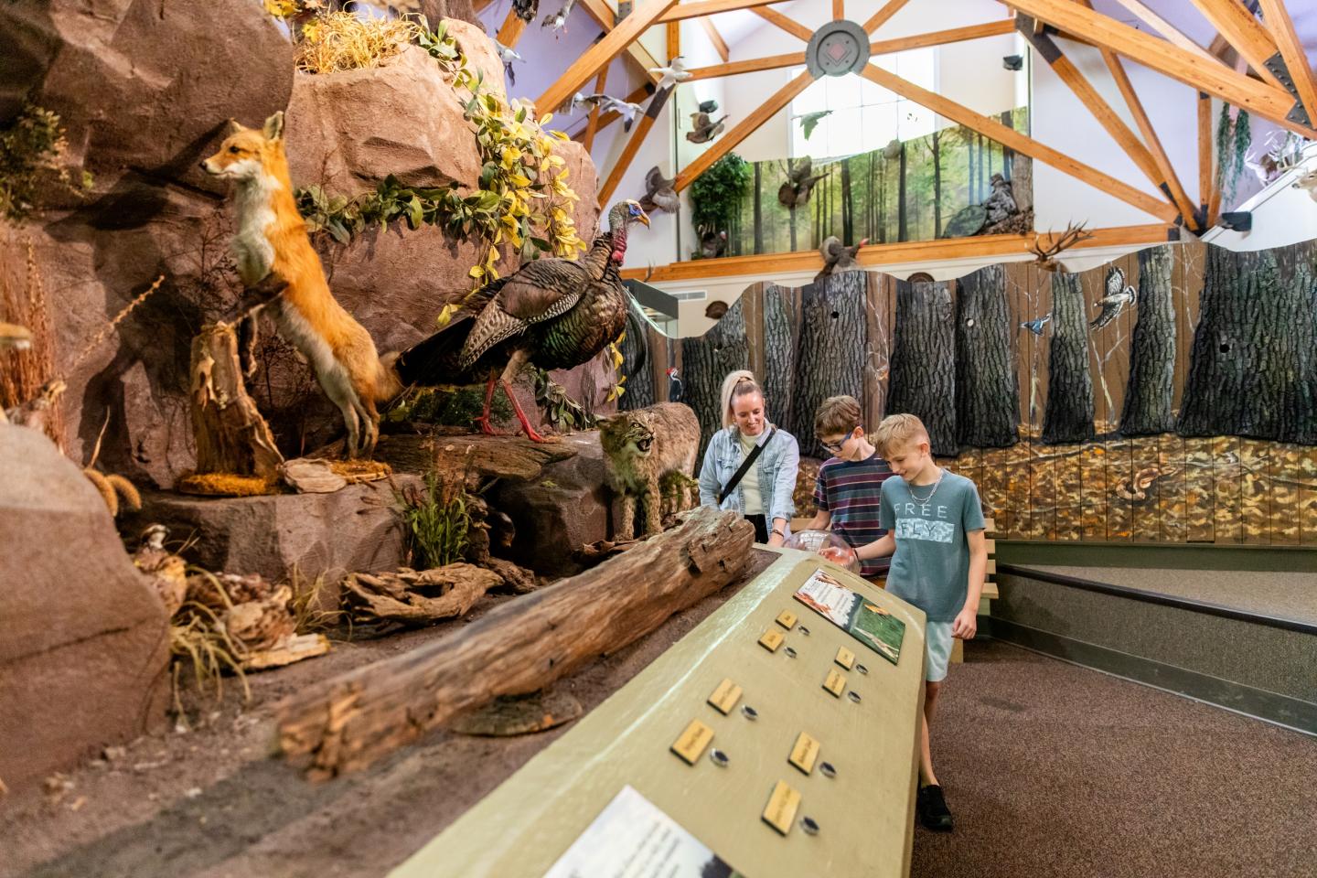 Museum exhibit with wildlife display and three people observing.