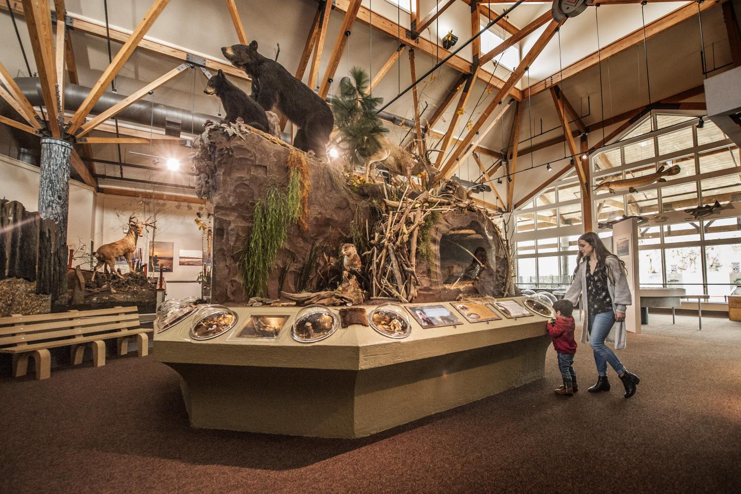 Exhibit of moose display in a museum with visitors observing.
