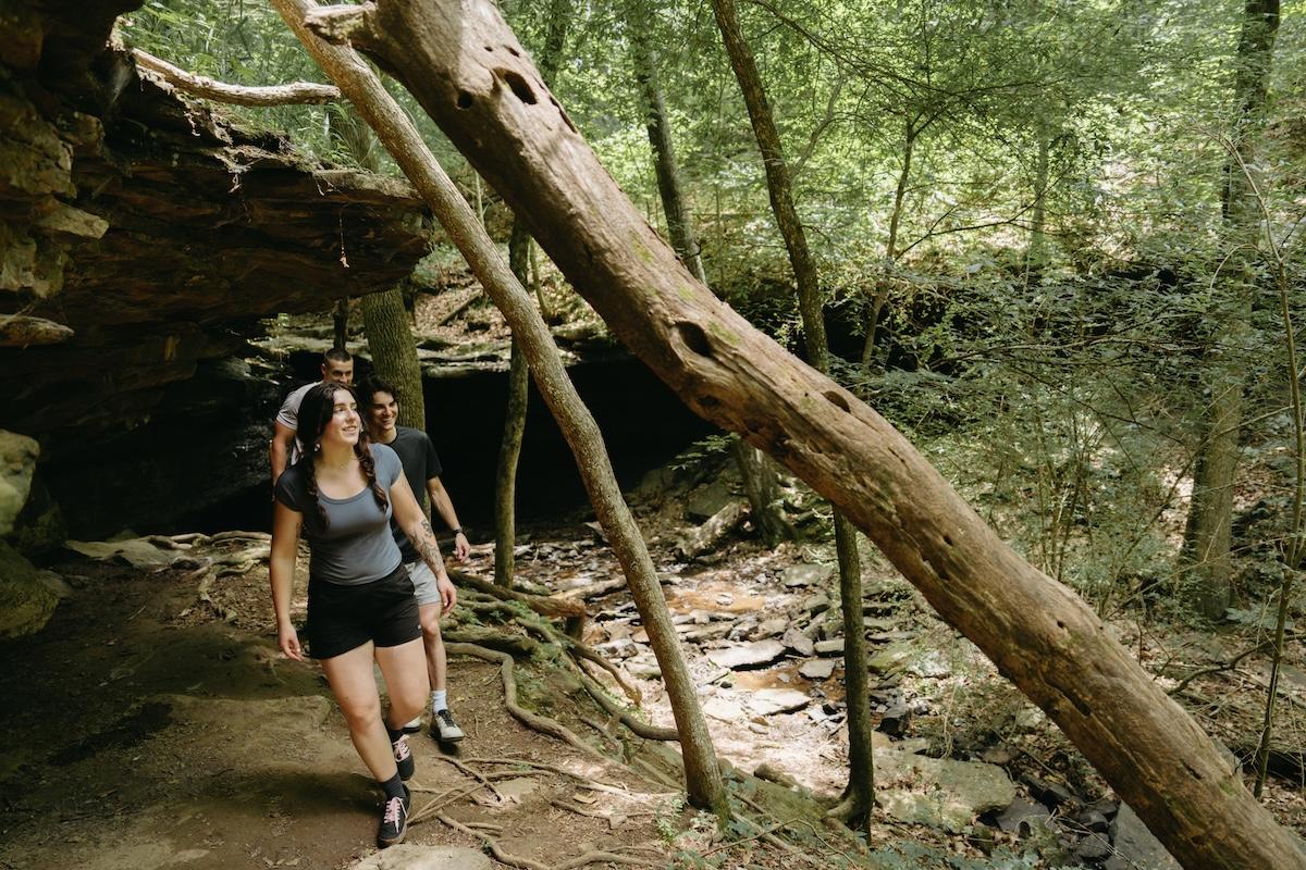 Hikers walking through a wooded trail under fallen trees.