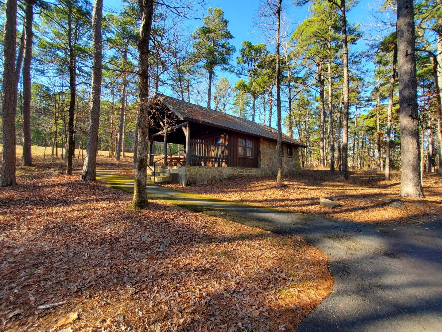 Cabin surrounded by tall trees on a sunny day, with a path leading to the entrance.