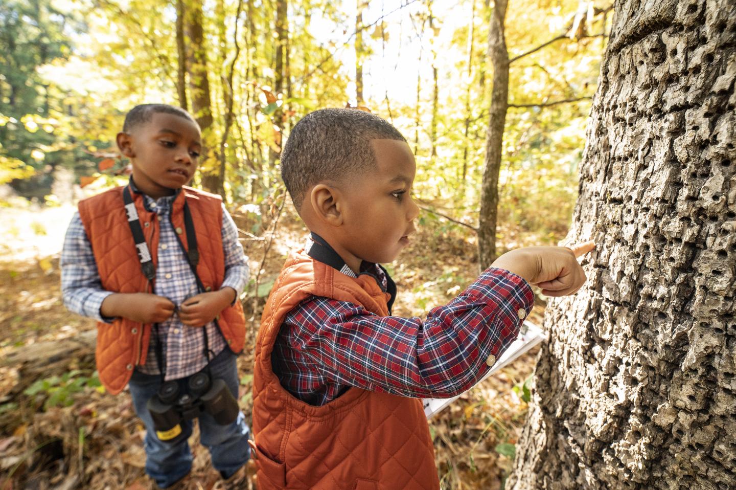 Two boys outdoors, one pointing at tree bark, wearing plaid shirts and vests.