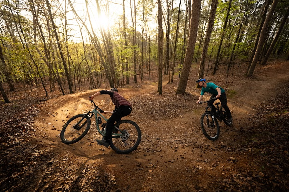 Two cyclists ride on a forest trail at sunset.