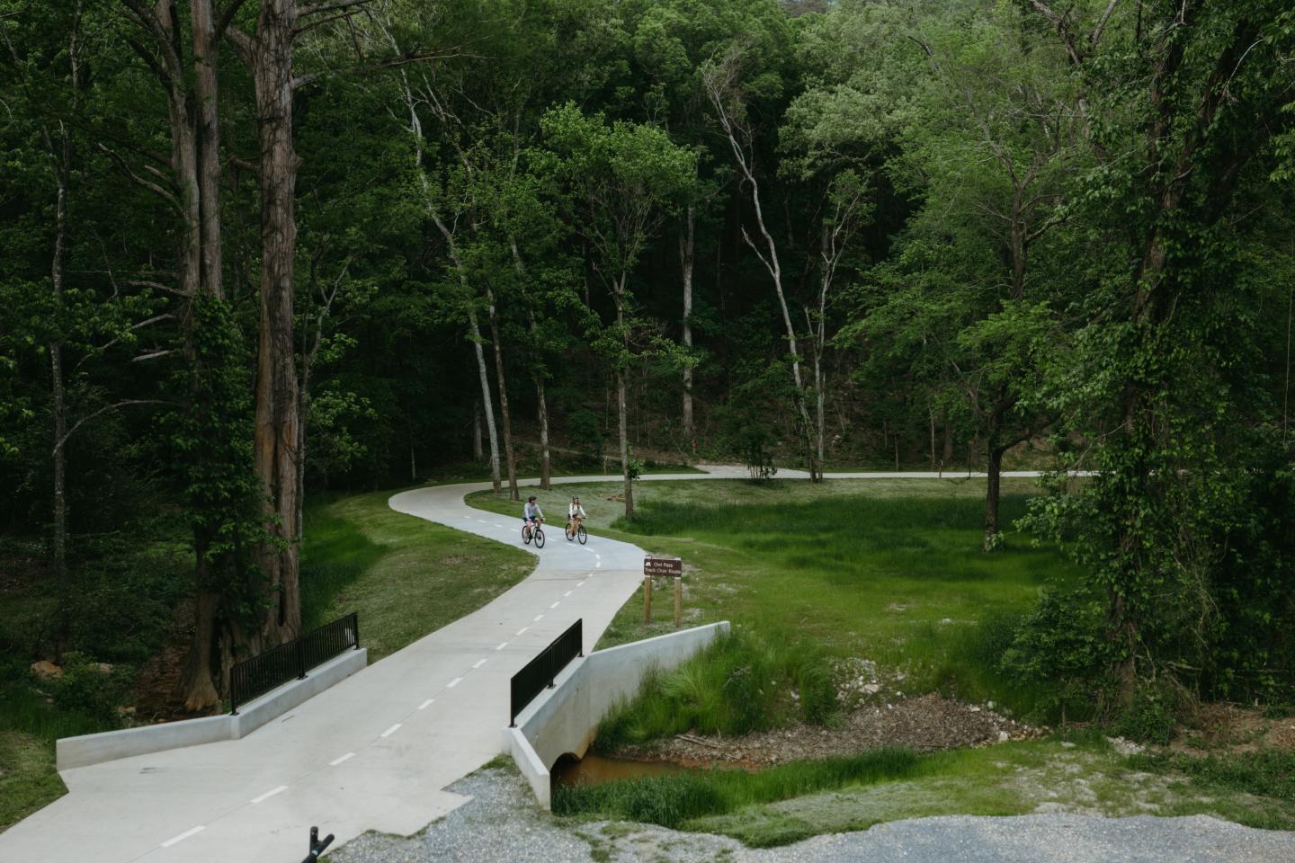 Curved path through lush forest with people walking.