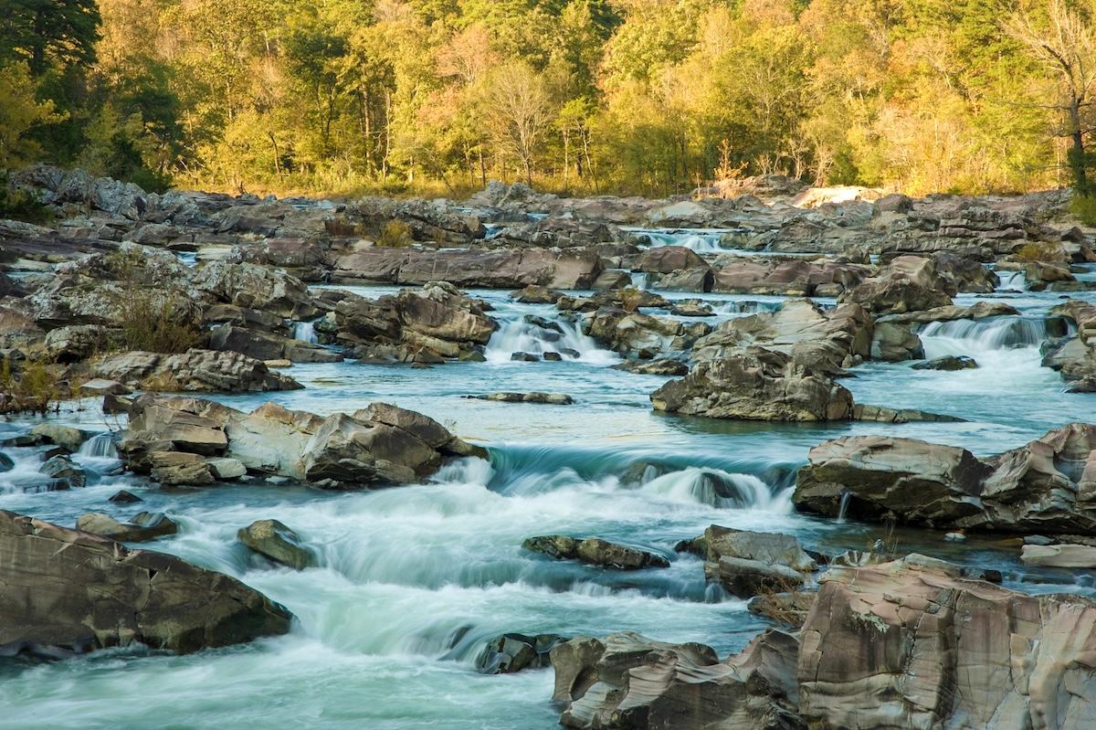 Rocky river flowing through lush green forest.