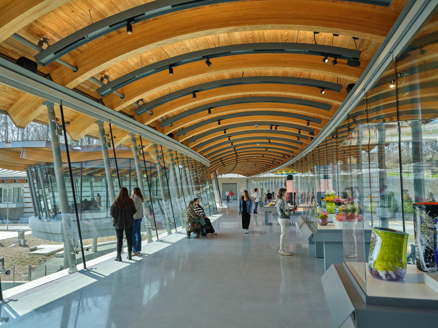 Modern museum hallway with arched wooden ceiling and glass walls.