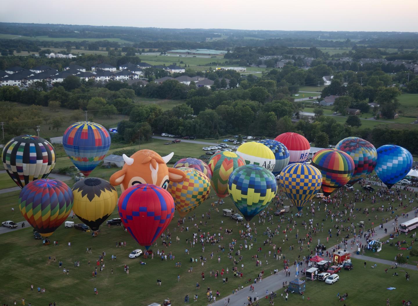 Hot air balloons inflating on a grassy field with a crowd gathered.