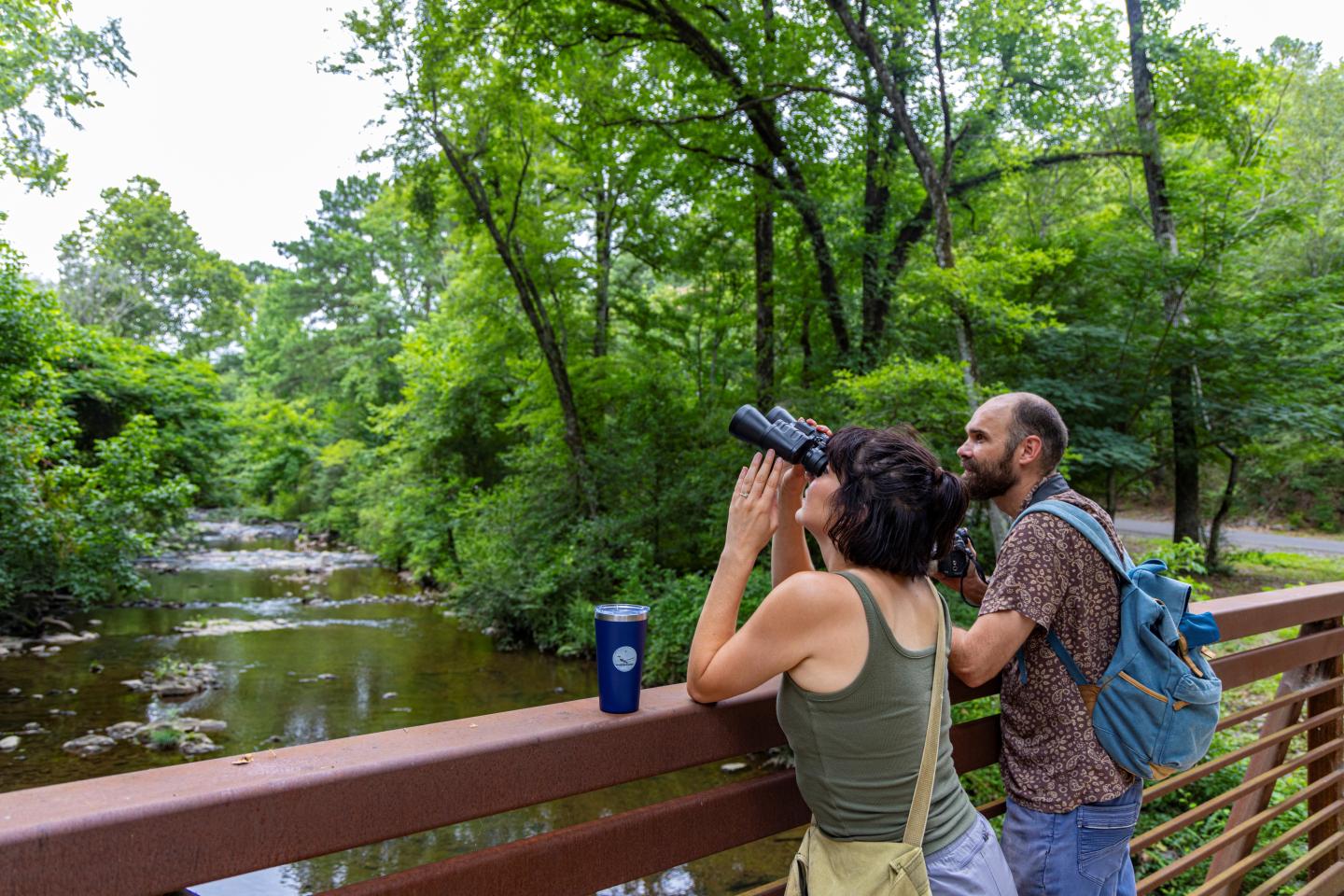 Two people birdwatching from a bridge, surrounded by lush greenery.