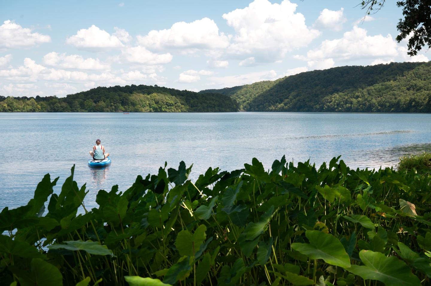 Small boat on a calm lake, framed by lush green leaves and wooded hills