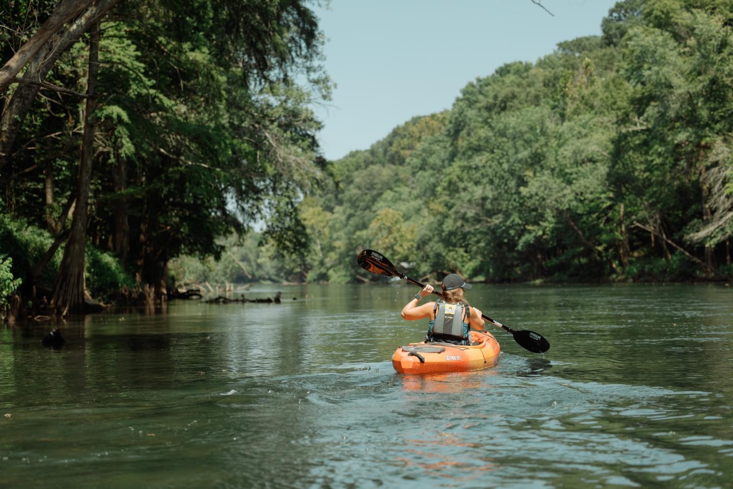 Kayaker paddling on a calm river surrounded by lush green trees.