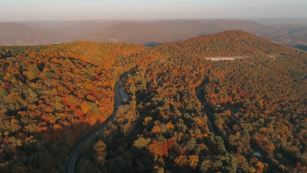 Autumnal forested mountains with winding road.
