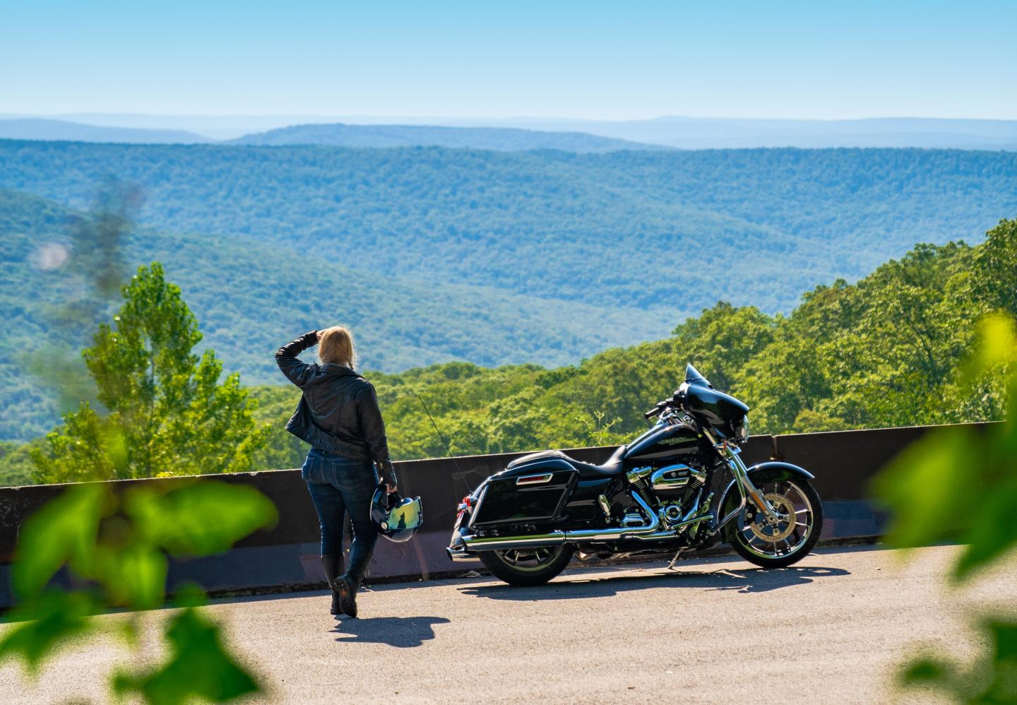 Motorcyclist admiring a scenic mountain view with greenery.