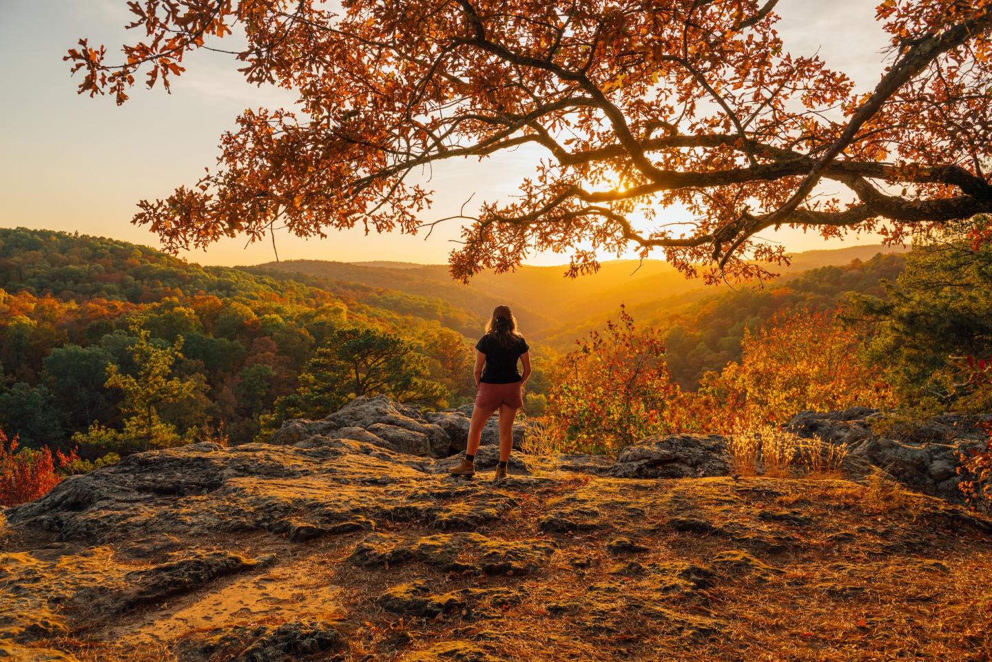 Person stands on rocky cliff, overlooking a vibrant autumn forest at sunset.