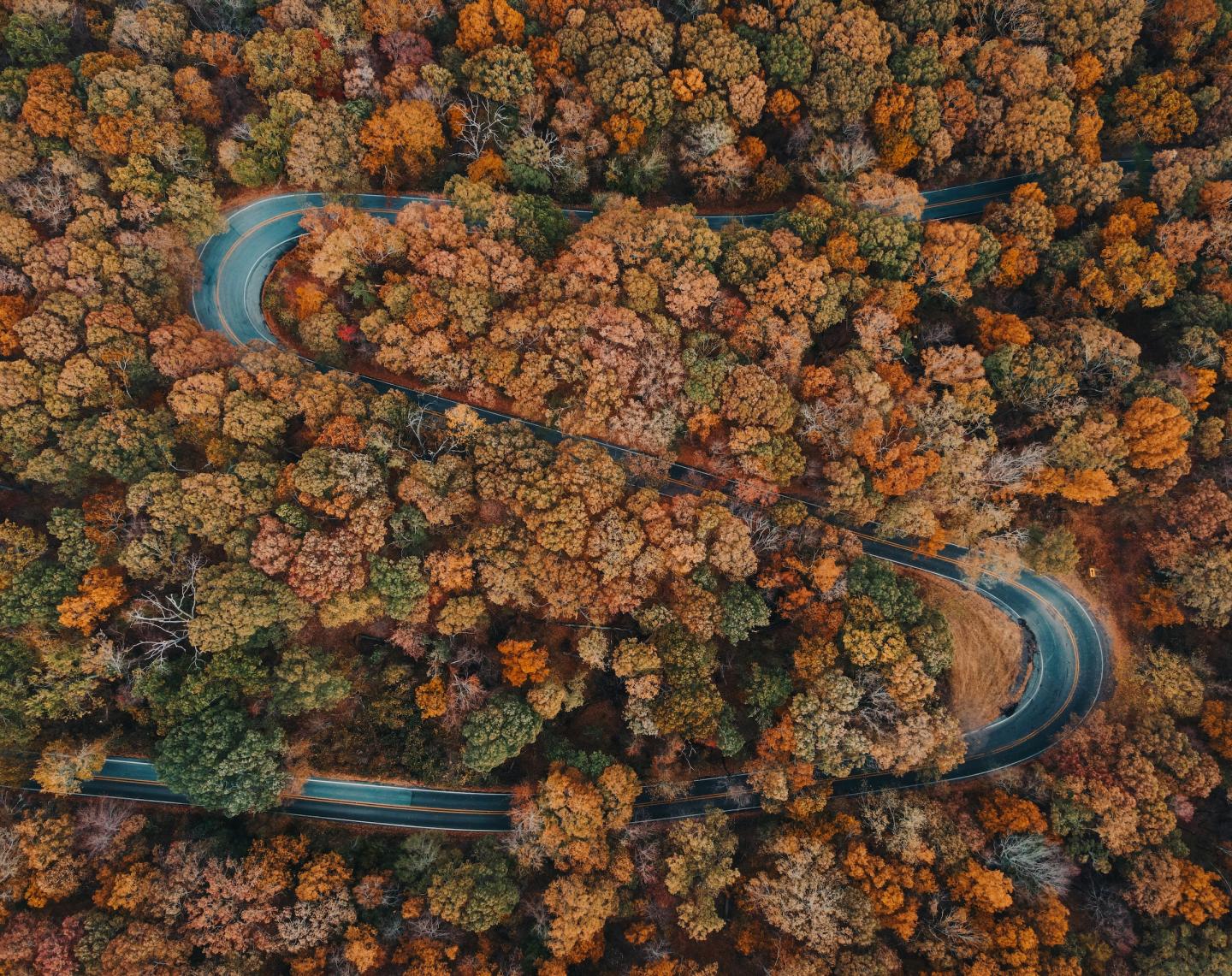 Winding road through dense autumn forest with colorful foliage.