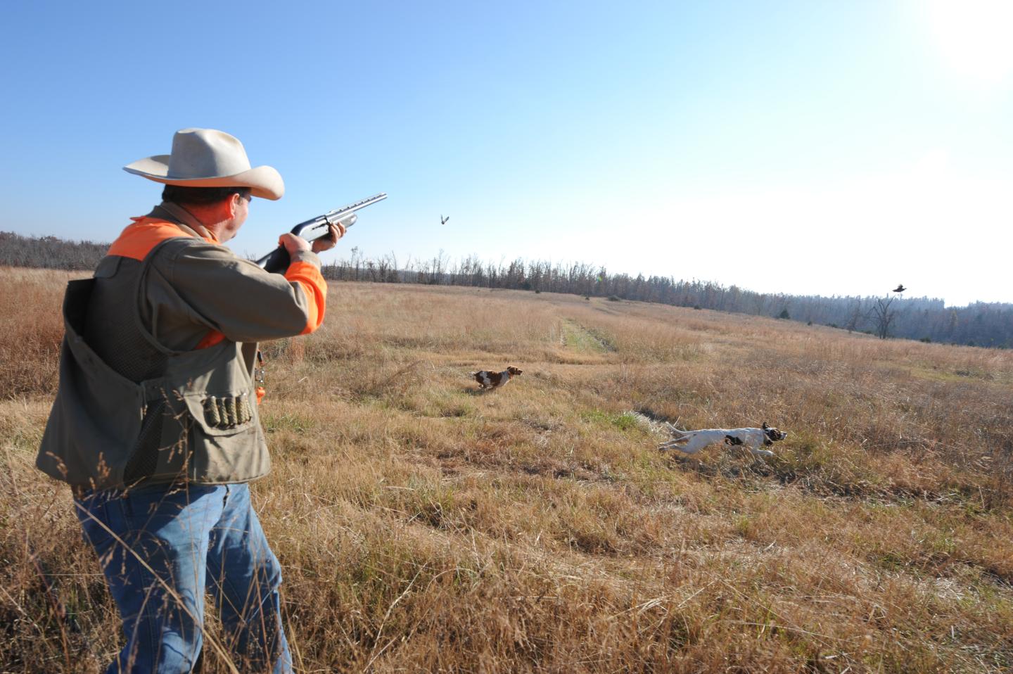 Man in field aiming a rifle, wearing a cowboy hat, sunny day.