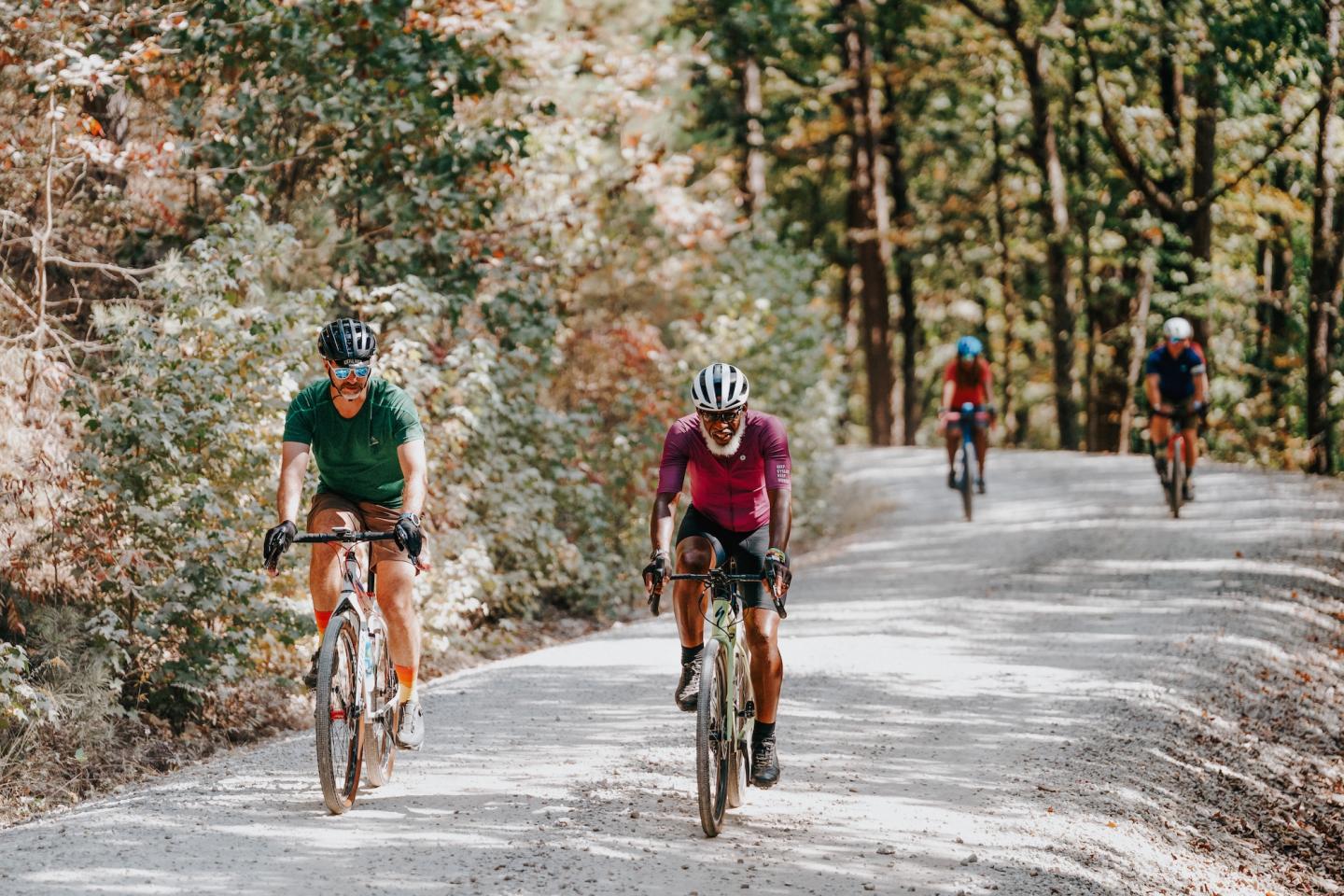 Four cyclists riding along a sunlit, tree-lined road.